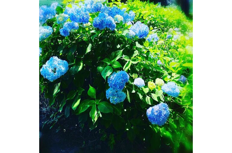 A695C62A-2096-45C1-9DDF-1831E5A8F9E2