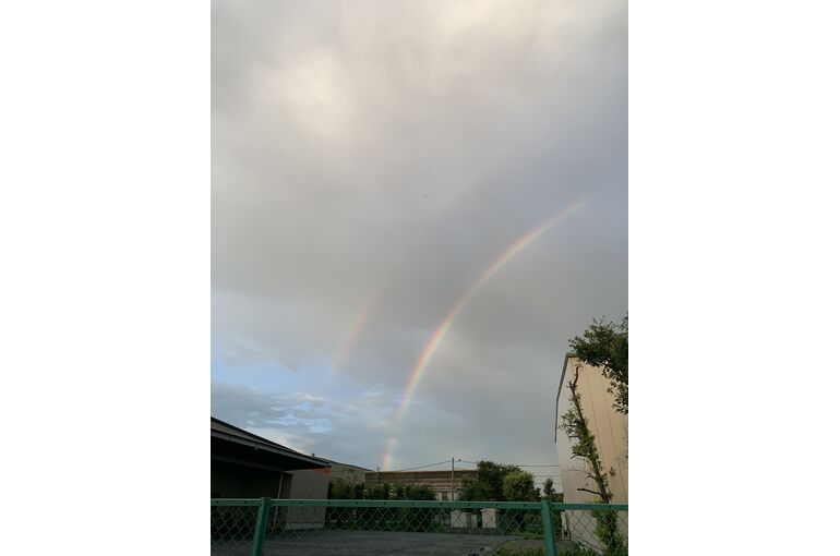38A2CF1D-EEA1-4B3B-9223-FBEE9830B76F